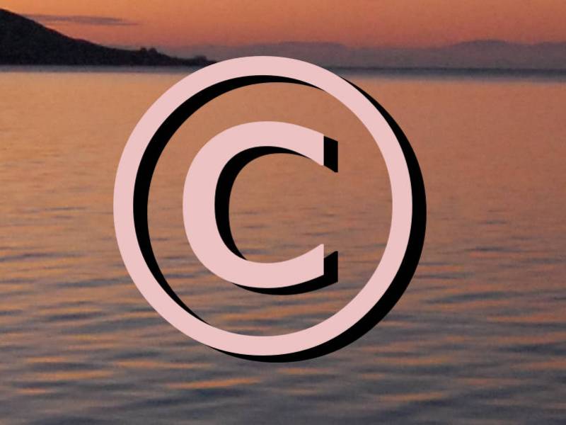 Copyright Information